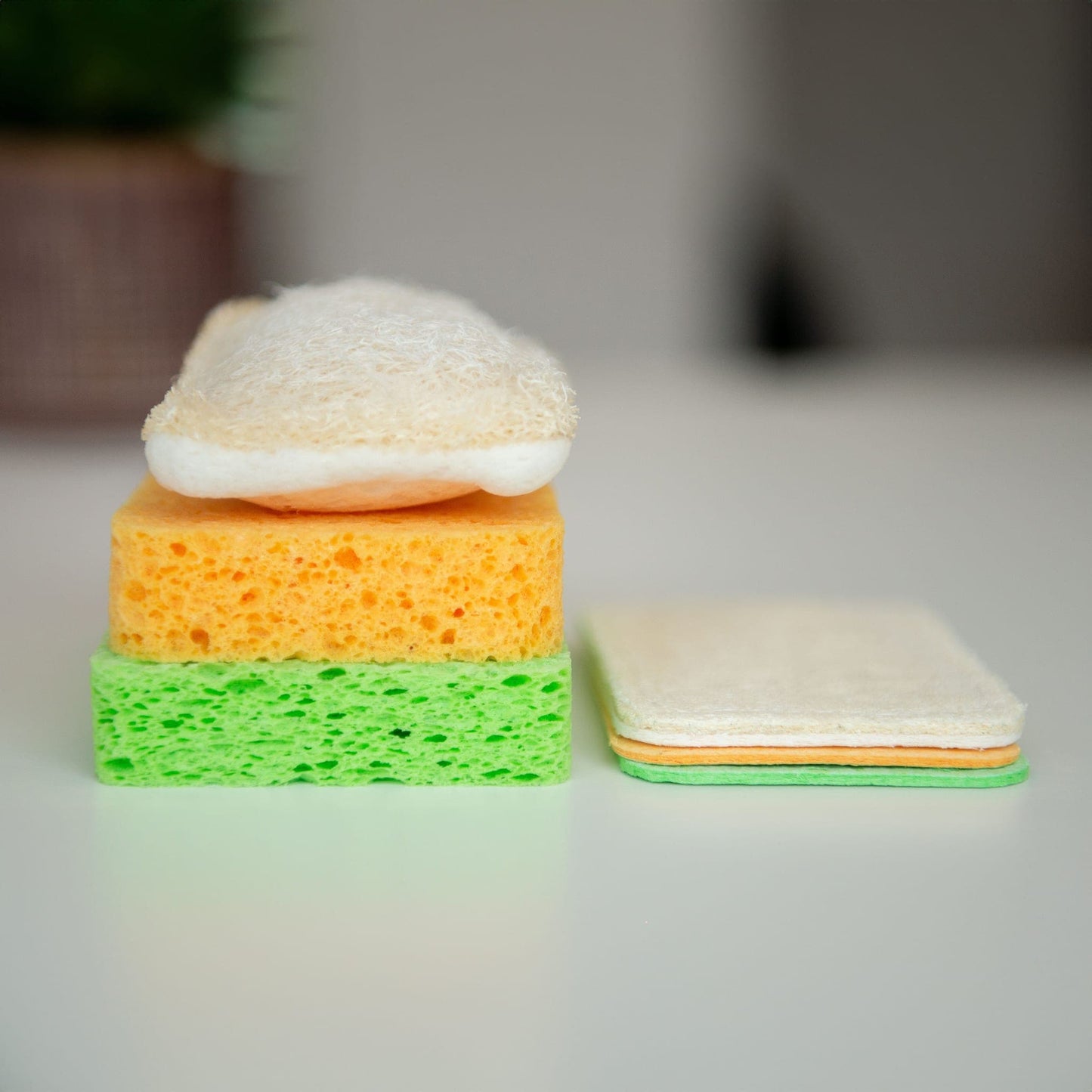Washo Popup - Schwämme - washo.ch