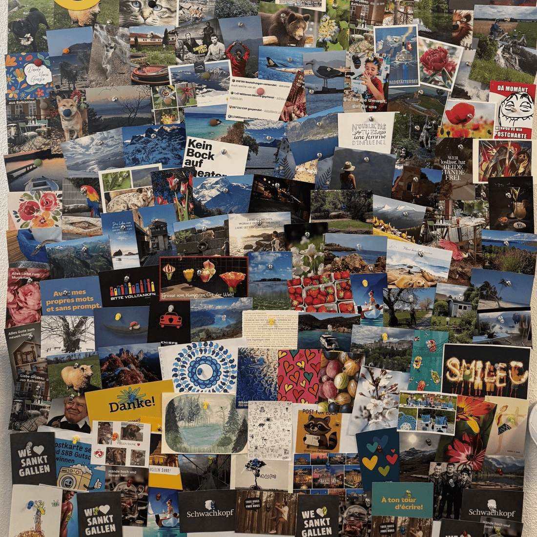 Dezember Gewinnerin: Postkartenwettbewerb - washo.ch