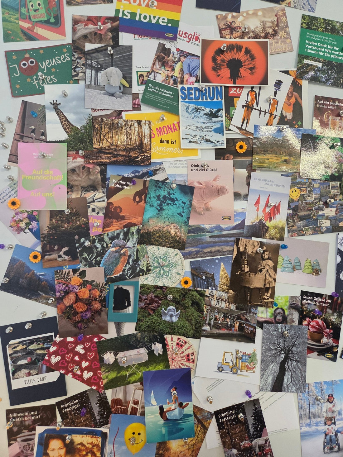 Januar Gewinner: Postkartenwettbewerb - washo.ch