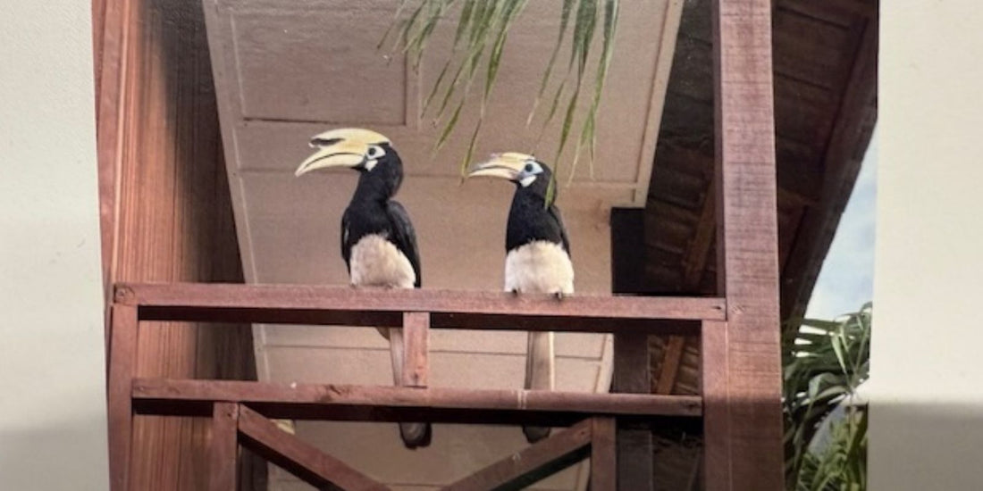 November Gewinnerin: Postkartenwettbewerb - washo.ch